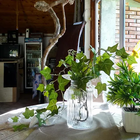 Vendégház Rezos 3*